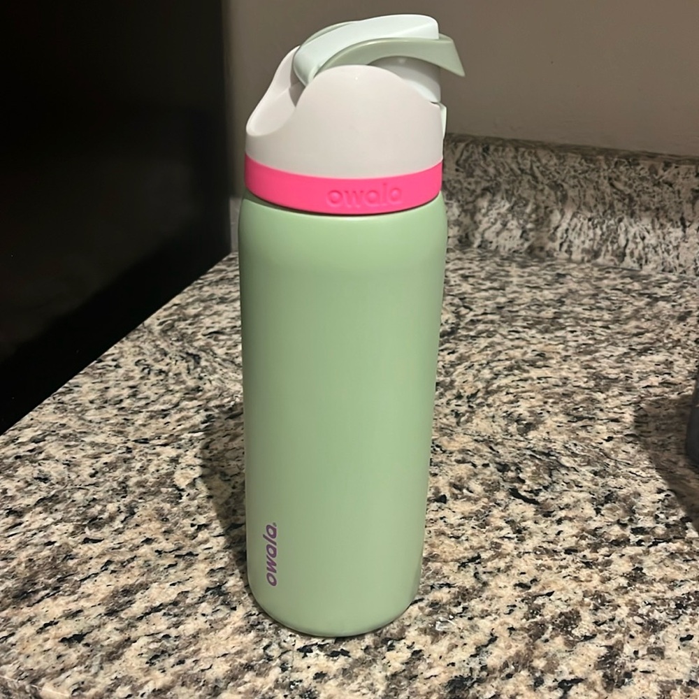 Owala 32oz Neo Sage Free Sip Water Bottle